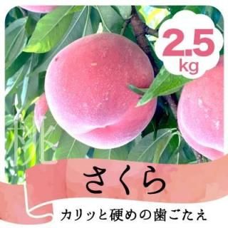 £2.5kg
