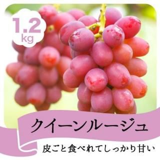 롼£1.2kg