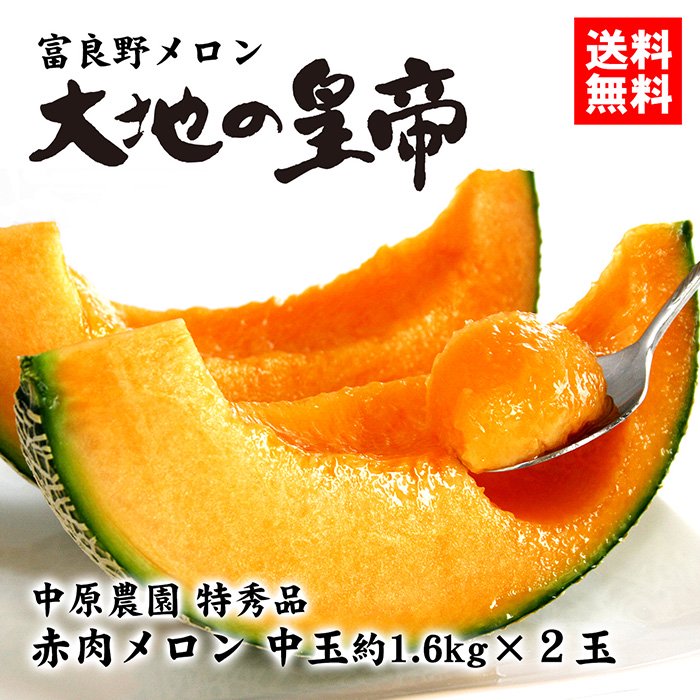 送料無料】富良野メロン大地の皇帝 特秀品 中玉約1.6kg×2玉 - 北海道ギフトバザール公式オンラインストア