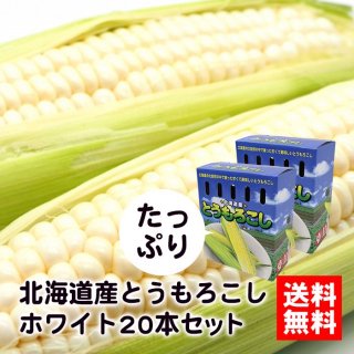 北海道産とうもろこしホワイト 2Lサイズ たっぷり20本セット - 北海道ギフトバザール公式オンラインストア