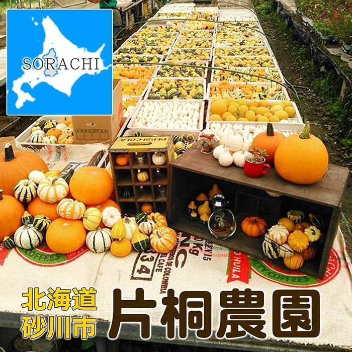 ハロウィンカボチャ title 【Happy Halloween🎃】 本日10月31日はハロウィン