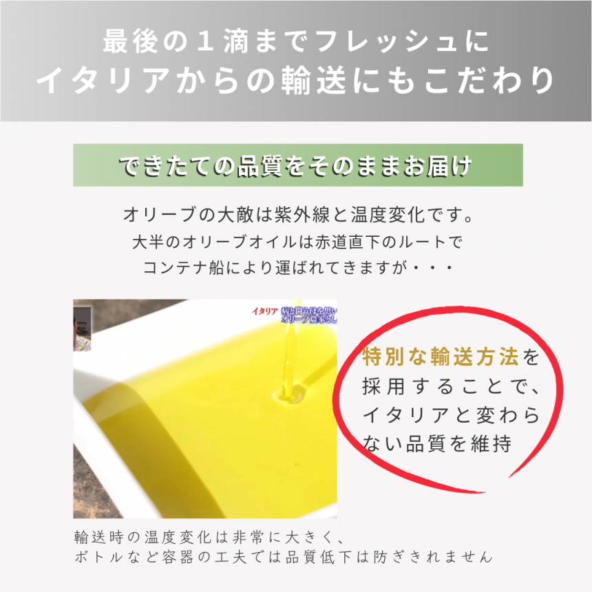 OliOlive 生オリーブオ