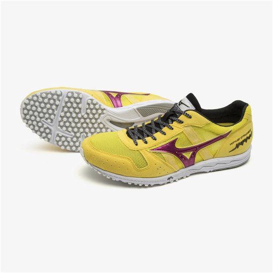 <img class='new_mark_img1' src='https://img.shop-pro.jp/img/new/icons24.gif' style='border:none;display:inline;margin:0px;padding:0px;width:auto;' />֥롼ѥ mizuno/U1GD191051ۤξʲ