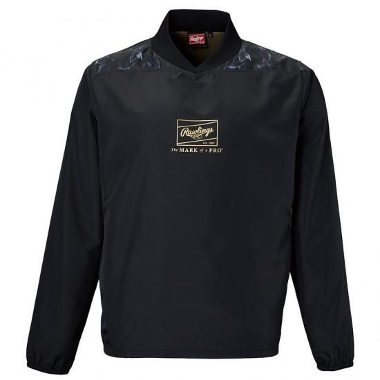 ĹµɥԥơRawlings/AOS15F08ۤξʲ