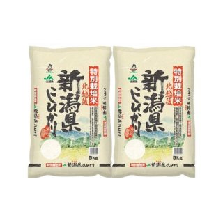 新潟 JA北越後産 特別栽培米コシヒカリ 5kg×2