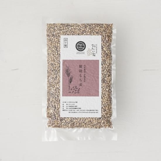 自家栽培　もち麦セット計15kg もち麦(ダイシモチ)玄麦1Kg：静岡県産の大麦｜食べチョク｜産地