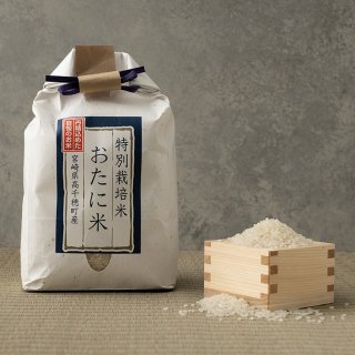 【送料無料】特別栽培 米 2023年  - ヒノヒカリ 2kgの商品画像