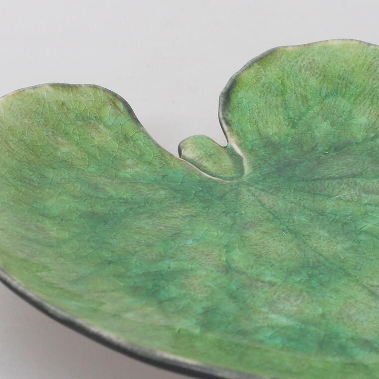 コスタノバ プレート リヴィエラ アルケミルリーフ18cm COSTA