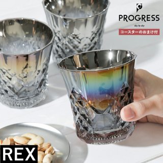 ץ쥹 å С ե˥å 㥤 å饹 PROGRESS REX SILVER INFINITE SHINE 饹   ե