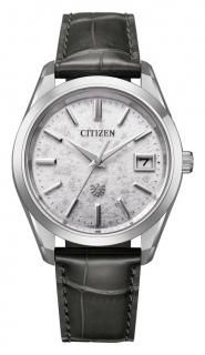 󡡥 Iconic Nature Collection AQ4100-22A