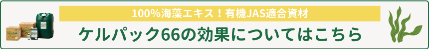 ケルパック66紹介