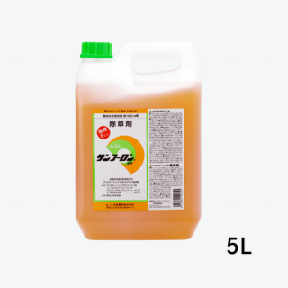 ա 5L