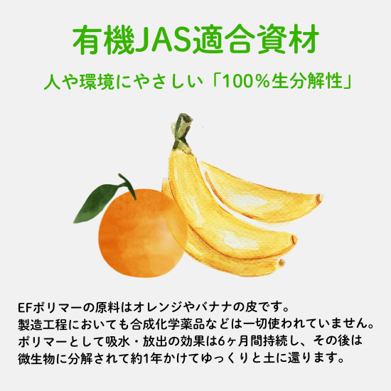 ͥ