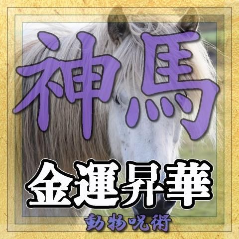 【神馬】超自然呪術 金運昇華