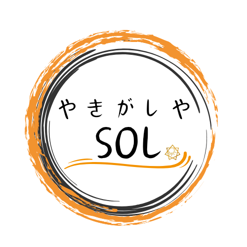 䤭 SOL