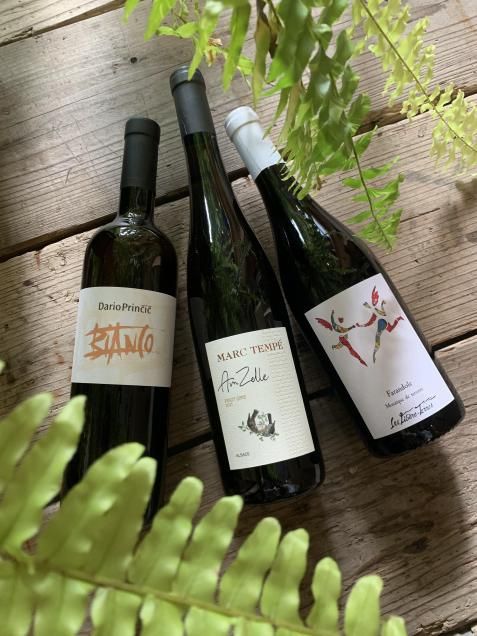 Cave de la foret CAMPWINe ｜ ナチュラルワインのオンライン