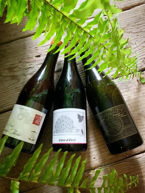 Cave de la foret CAMPWINe ｜ ナチュラルワインのオンライン