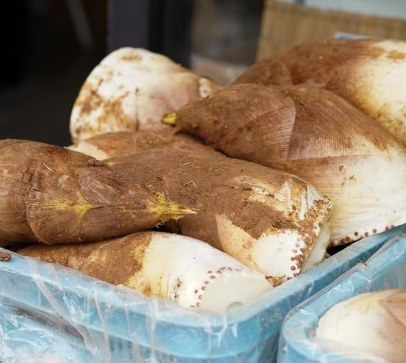 米サラダ油500g2本・こめ胚芽油500g3本セット - 京たけのこ