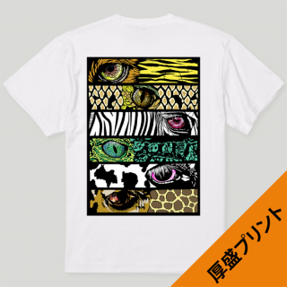 _�ڷ��ԥ����_�����ץ��� (�ܥǥ���, ��, ���졼, ����ǥ���, 4����ͭ��)