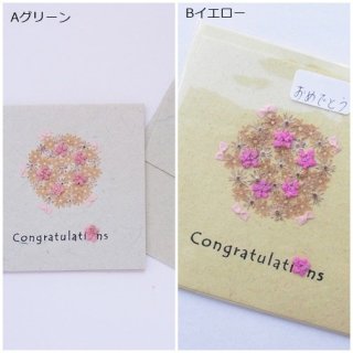 <img class='new_mark_img1' src='https://img.shop-pro.jp/img/new/icons20.gif' style='border:none;display:inline;margin:0px;padding:0px;width:auto;' />֥ɡCongratulation