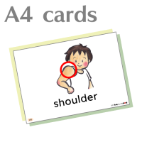 A4ɡʤˡA4 CardBody parts