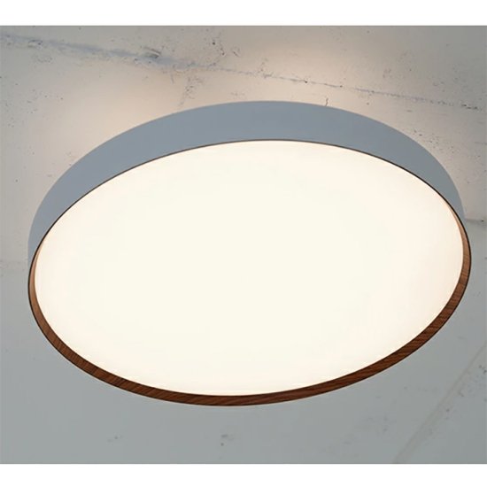 ˥󥰡ӥ󥰡|  6000LED 󥰥饤ȡ65W14Glow6000 LED-ceiling light  4  AW-0626-4