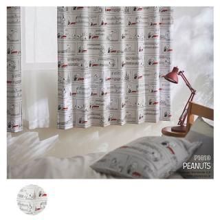 ̵�����ϥ���ץ� ̵������ץ롡�١��ȡ��������ɰ����뾮����ŷ�Ͳ��ڲȥ�������������׸�2�����ϡ� p Schroeder & Piano �ԥ��Ρ�1013GRY  ��