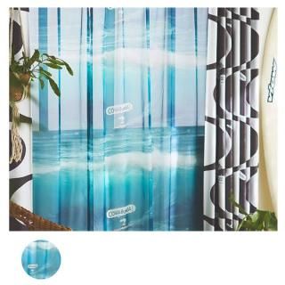 ̵�����ϥ���ץ� ̵������ץ롡�ӥå��������֤˾�ä����̡��ԡ����졼���� p Cowabunga! voile��ä�����1027BL ��