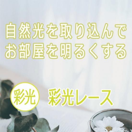 褯Ǯޥåߥ顼졼CO2101-04Clearyꥢ꡼WHۥ磻  BE١  BL֥롼  NVͥӡ -8