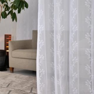 ̵�����ϥ���ץ� ̵������ץ롡��DO6201��Sarma�������	WH���ۥ磻�ȡ� 