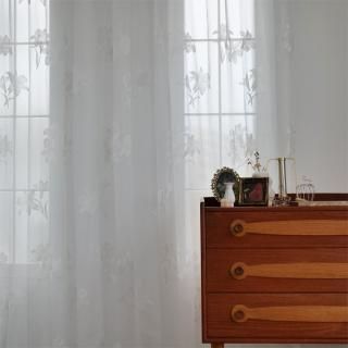 ̵�����ϥ���ץ� ̵������ץ롡��DA2501��Zambak�����९	WH���ۥ磻�ȡ� 