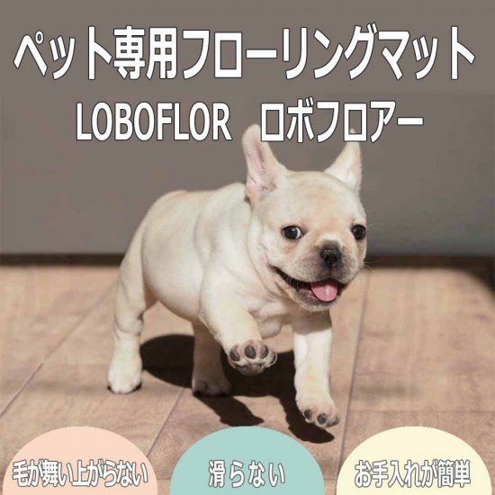 ڥåѡڥåȤ­ʤǤ륫ڥåȡڥåȥޥåȡڥåȥޥåȡڡLobo-Floorܥե3