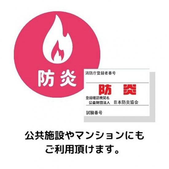 ̲ƥ֥ɡե졼ɱꥫƥ󡡡K1014K1016 Coronnaʡޥɡ졼֥롼-6