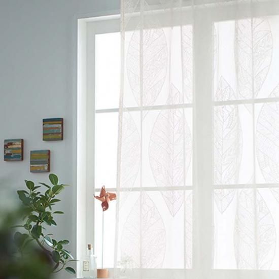 ̲ƥ֥ɡե졼󡡥åǥդäѥ졼ƥ󡡡 K1024ۡWHۥ磻ȡ-2