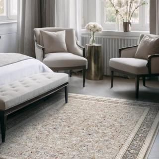 õ Prevell 饰 ڥåȡۡåץ졼٥ 饰  ELAMå 饦ȥ󥫡ڥåȡ450ΥåȤ߽ФݽŪڥ륷ǥ