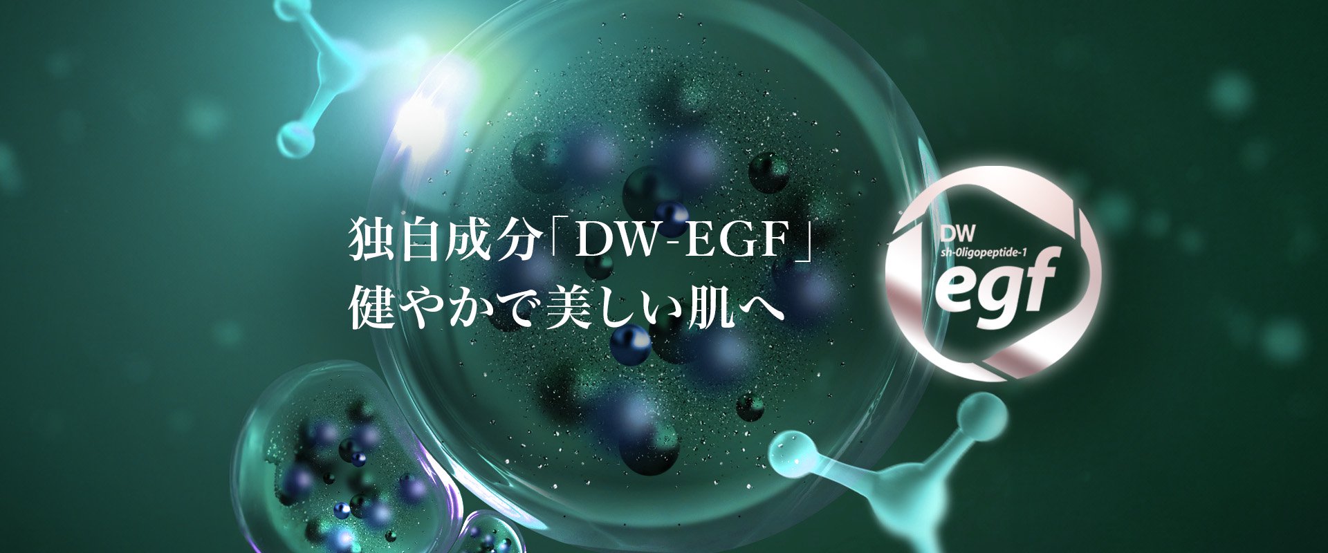 DW-EGF_ᥤ