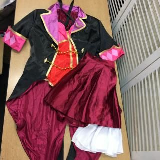 ɥޥǥ饬륺 ִ α졢(L)