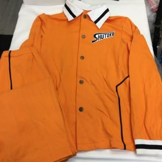 ҤΥХ  㡼 α Fairy(L)