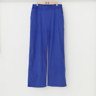 TECH SUEDE PAINTER PANTS / BLUE - THE SUNNY