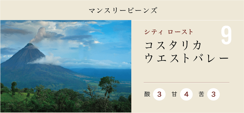 コスタリカ・ウエストバレー