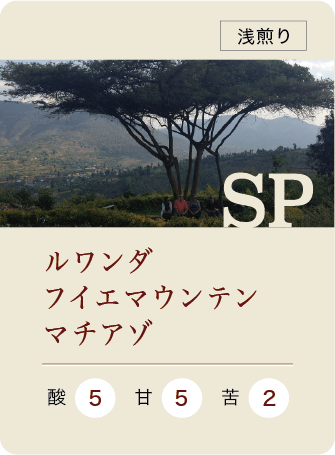 ルワンダ フイエマウンテン マチアゾ