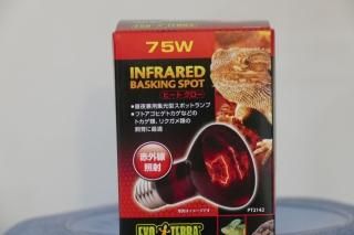 GEX ヒートグロー 赤外線照射スポット ランプ 75W - murakumoya