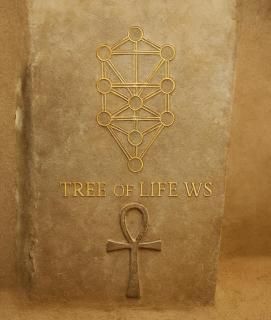 ʡ2026ǯޤˡ̿μȥץȤα - 2026ǯθ¤ȥѥ - 