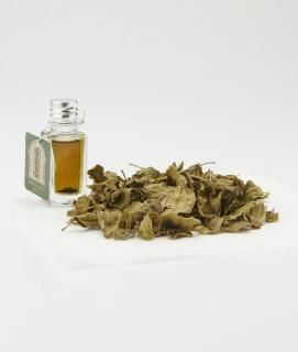 <img class='new_mark_img1' src='https://img.shop-pro.jp/img/new/icons5.gif' style='border:none;display:inline;margin:0px;padding:0px;width:auto;' />ۡ꡼ƥ󥯥㡼 Purity & Protectionȼ Sidr Leaf ɥ
