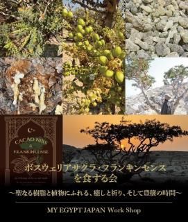 ʡڥꥯȳšʤե󥭥󥻥󥹤򿩤 / 124