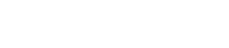 FOG ESSENTIALS