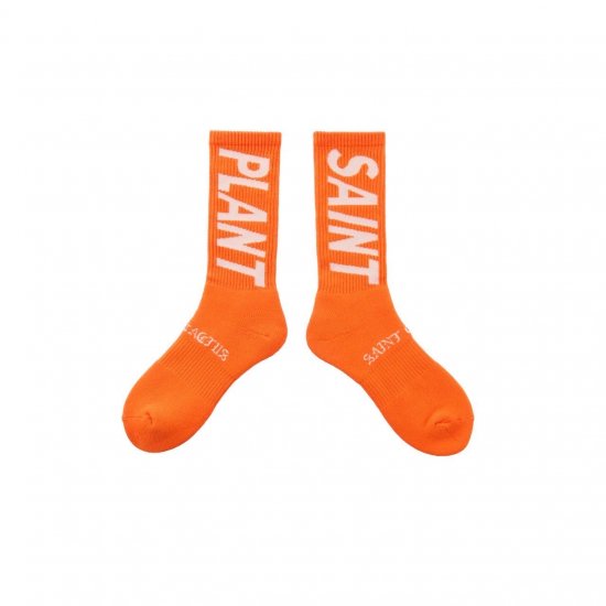 SAINT Mxxxxxx  CPFMCP_SOCKS / SNT PLANTORANGE2024ߡ11.9(sat) pm12:00 Release