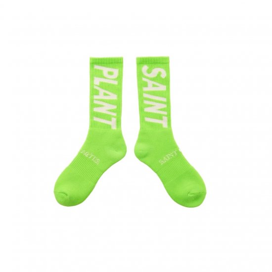 SAINT Mxxxxxx  CPFMCP_SOCKS / SNT PLANTLIME2024ߡ11.9(sat) pm12:00  Release