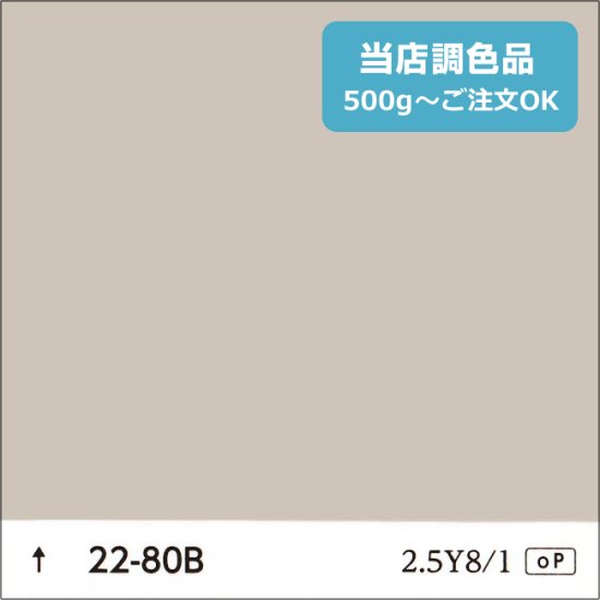 日塗工 22-80B 淡彩 - 日本ペイントの塗料の調色・見本合わせの通販なら【調色119番】