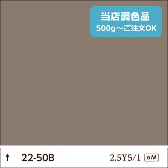 日塗工 22-50B 中彩 - 日本ペイントの塗料の調色・見本合わせの通販なら【調色119番】